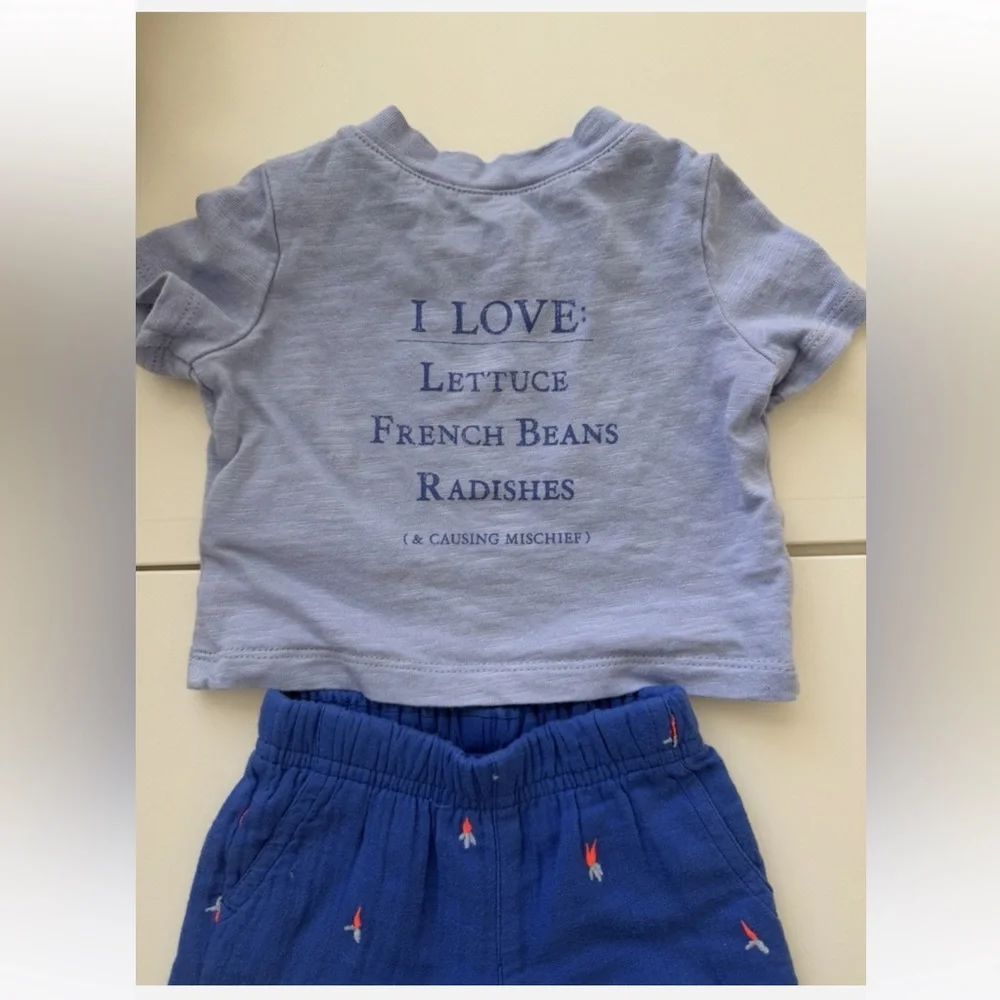 BabyGap Peter Rabbit 2 Piece Set Tshirt and Shorts Set Blue Size 0-3 Months